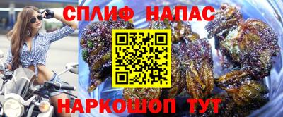 мяу мяу мука Будённовск
