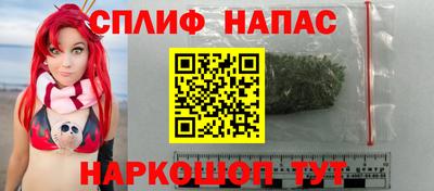 мяу мяу мука Будённовск