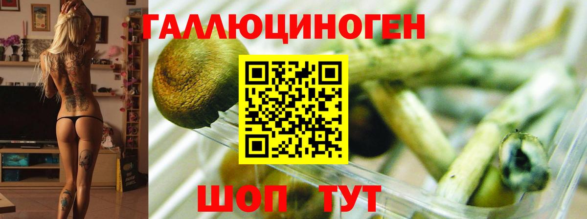 Галлюциногенные грибы ЛСД Старая Купавна